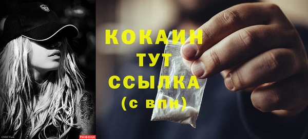 spice Алексин