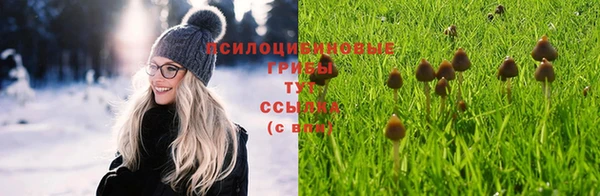 сатива Алексеевка