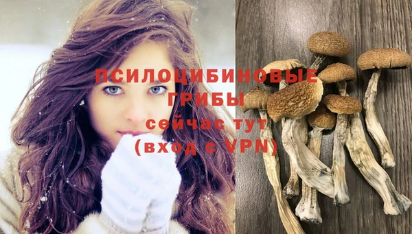 spice Алексин