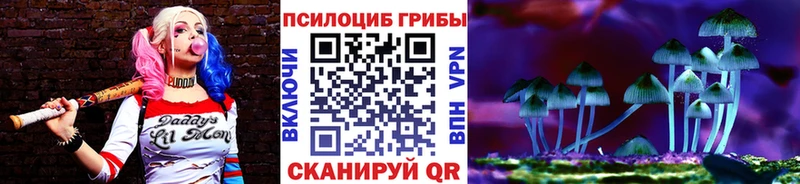 закладки  Домодедово  Галлюциногенные грибы прущие грибы 